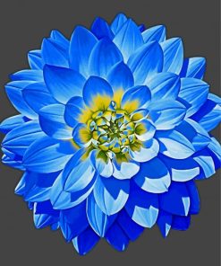 Blue Dahlia Paint By Numbers