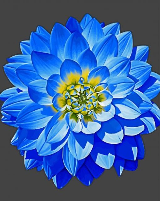 Blue Dahlia Paint By Numbers