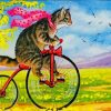 Cat On Bicycle Paint By Numbers