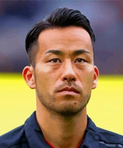 Cool Maya Yoshida Paint By Numbers