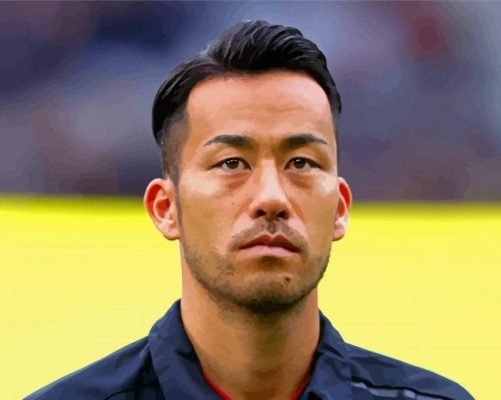 Cool Maya Yoshida Paint By Numbers