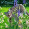 Tabby Grey Cat Paint By Numbers