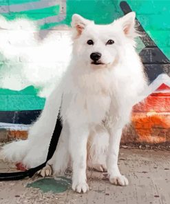 White Japanese Dog Paint By Numbers