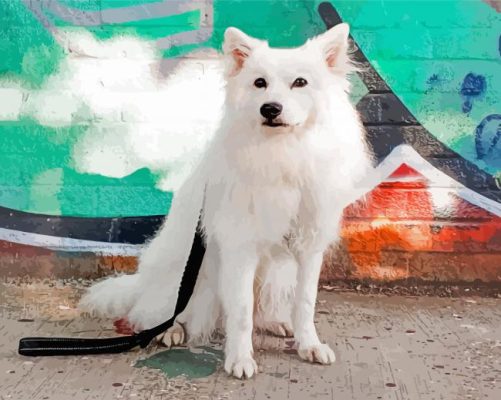 White Japanese Dog Paint By Numbers