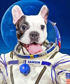 Space Astronaut Dog Paint By Number