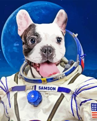 Space Astronaut Dog Paint By Number