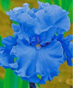 Blue Bearded Iris Paint By Number