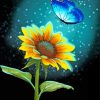 Blue Butterfly On Sunflower Paint By Number