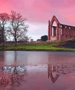 Bolton Abbey Ruins Painting By Numbers