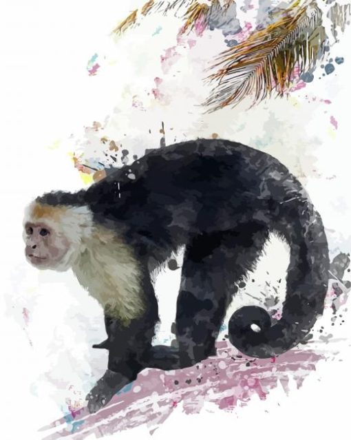 Capuchin Monkey Art Painting By Number