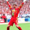 David Seaman Player Paint By Numbers