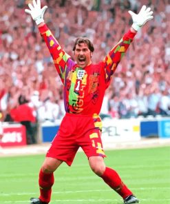 David Seaman Player Paint By Numbers