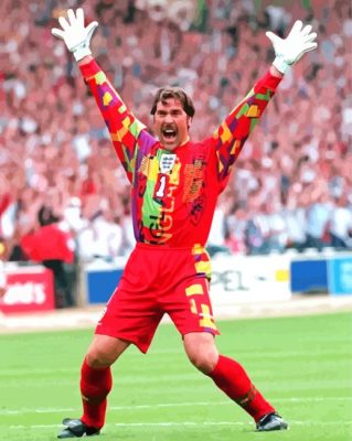 David Seaman Player Paint By Numbers