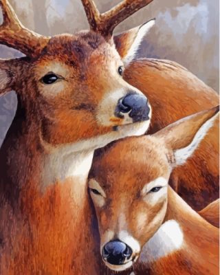 Deer Couple Hugging Paint By Number