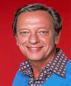 The American Actor Don Knotts Paint By Numbers