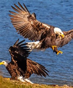 Eagles On The River Paint By Numbers