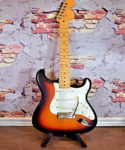 Fender Stratocaster Guitar Paint By Number