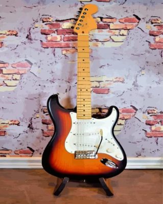 Fender Stratocaster Guitar Paint By Number