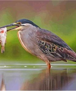 Heron Bird And Fish Paint By Number