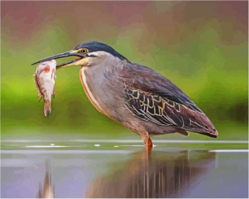 Heron Bird And Fish Paint By Number