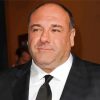 The American Actor James Gandolfini Paint By Number