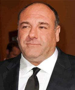 The American Actor James Gandolfini Paint By Number