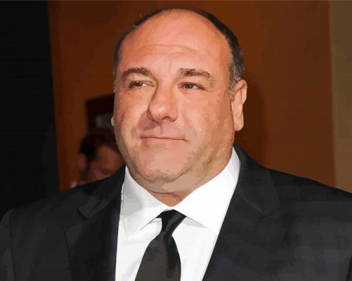 The American Actor James Gandolfini Paint By Number