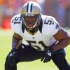 Jonathan Vilma Paint By Numbers