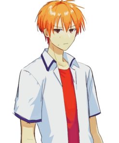 Kyo Sohma Paint By Number