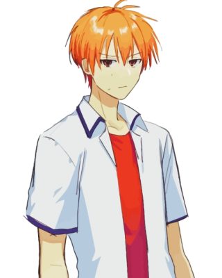 Kyo Sohma Paint By Number