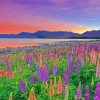 Lake Tekapo At Sunset Paint By Numbers