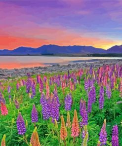 Lake Tekapo At Sunset Paint By Numbers