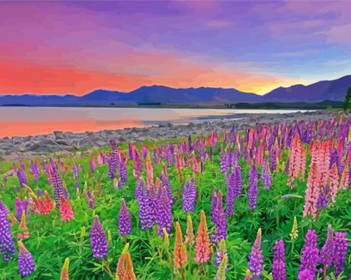 Lake Tekapo At Sunset Paint By Numbers