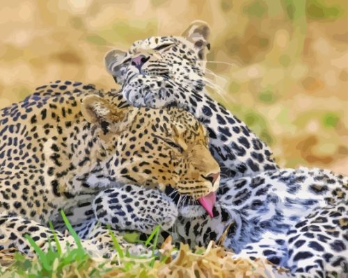 Leopard Playing Paint By Number