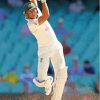 Marnus Labuschagne Player Paint By Number