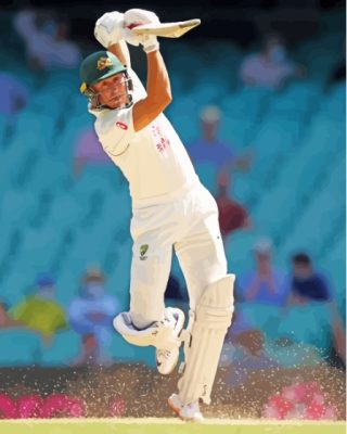 Marnus Labuschagne Player Paint By Number