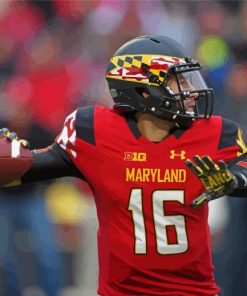 Maryland Terrapins Paint By Number