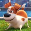 Max The Secret Life Of Pets Paint By Numbers