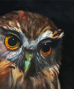 Morepork Owl Bird Paint By Number