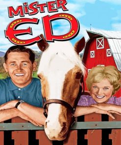 Mr Ed Poster Paint By Numbers