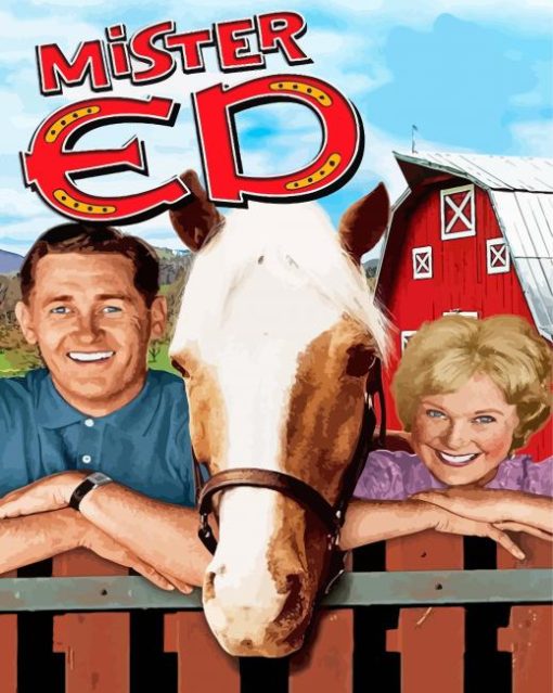 Mr Ed Poster Paint By Numbers