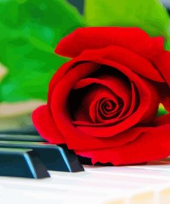 Piano Keys With Rose Painting By Number