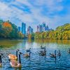 Piedmont Park Atlanta Paint By Number