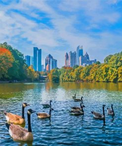 Piedmont Park Atlanta Paint By Number