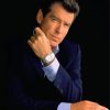 The Actor Pierce Brosnan Paint By Number