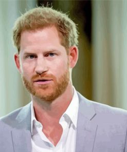 Prince Harry Paint By Number