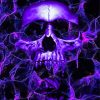 Purple Skull Paint By Number