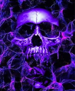 Purple Skull Paint By Number