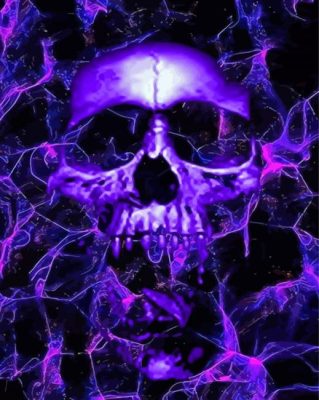 Purple Skull Paint By Number