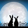 Rabbit And The Moon Painting By Number